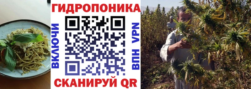 omg как зайти Волосово Cannafood конопля